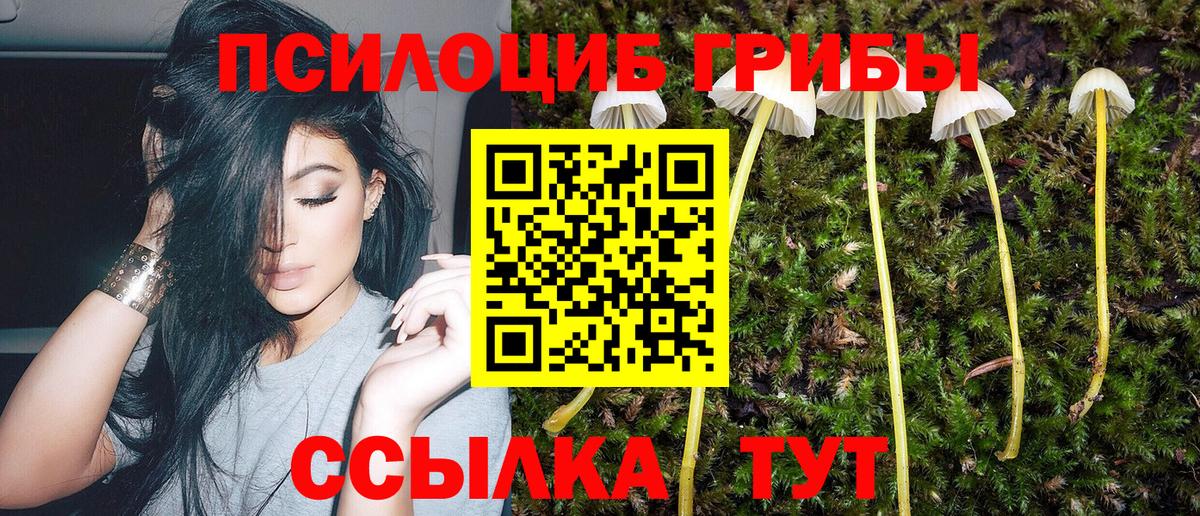 Галлюциногенные грибы мухоморы Фурманов