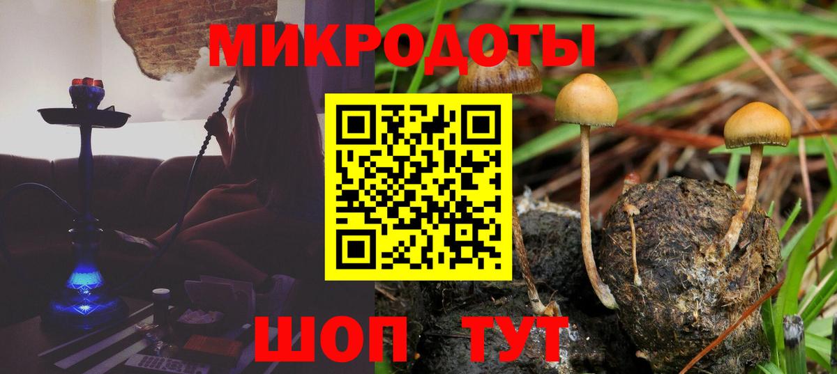 Псилоцибиновые грибы Psilocybe  Вход с VPN  дарнет шоп  Фурманов  Галлюциногенные грибы ЛСД 